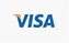 Bank Icon Visa
